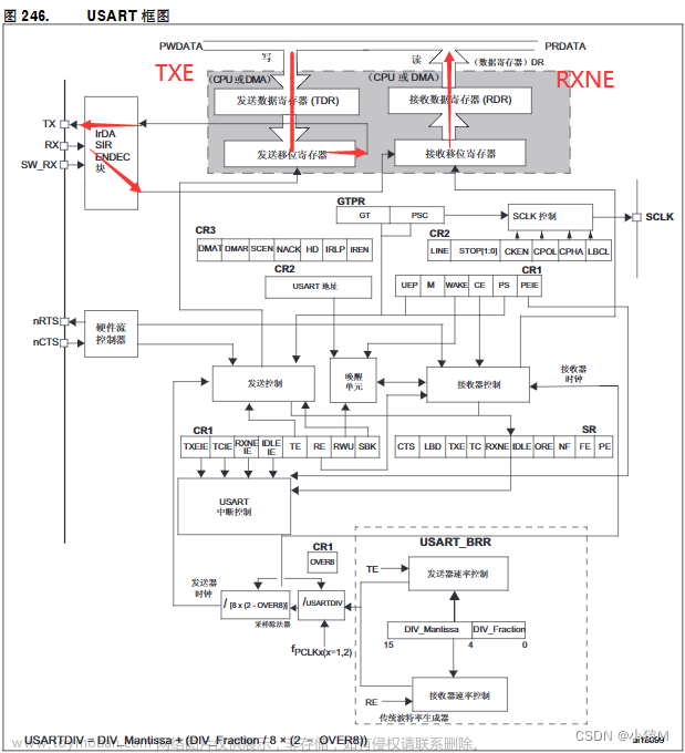 STM32F4 基于USART串口的蓝牙通信,STM32F401开发,stm32,嵌入式硬件,单片机