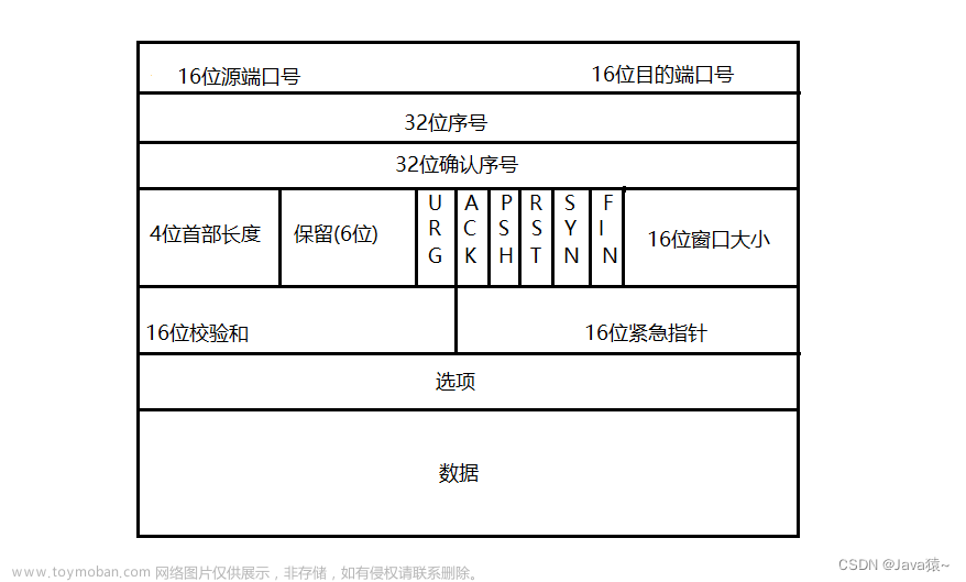 tcp协议,网络,tcp,网络协议,网络