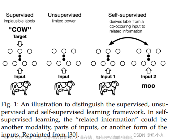 【论文阅读】Self-supervised Learning: Generative or Contrastive,论文阅读
