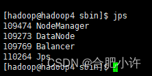 hadoop集群中增加新节点服务器（DataNode + NodeManager）方案及验证
