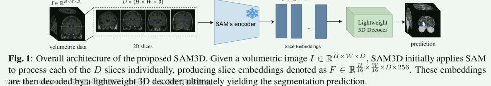 【论文阅读笔记】Sam3d: Segment anything model in volumetric medical images[