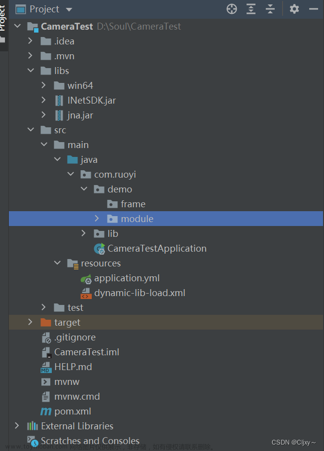 springboot中集成大华摄像头,java,网络,java,服务器