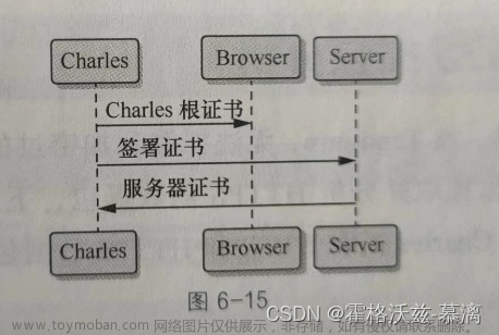 代理工具,测试,测试开发,软件测试,网络协议,postman,测试,网络