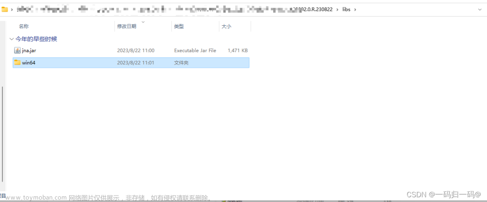 大華攝像頭開(kāi)發(fā)文檔,Sdk,java
