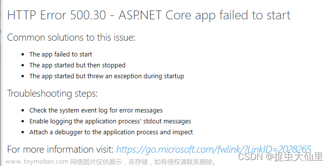 bug笔记：解决 HTTP Error 500.30 - ASP.NET Core app failed to start