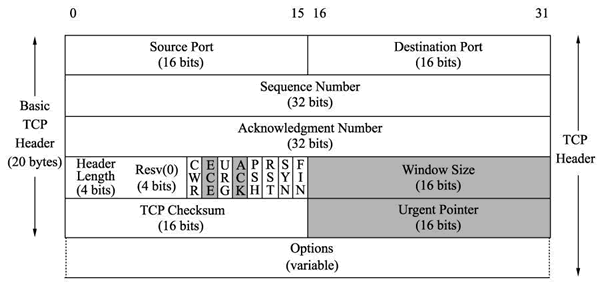 计算机网络——第四层：传输层以及TCP UDP