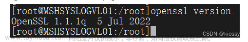 漏洞补丁修复之openssl版本从1.1.1q升级到1.1.1t以及python版本默认2.7.5升级到2.7.18新版本和Nginx版本升级到1.24.0