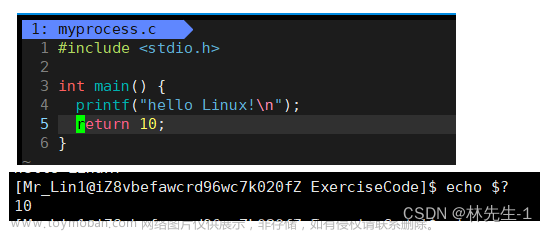 【Linux笔记】进程等待与程序替换,Linux操作系统,linux,笔记,c语言,c++