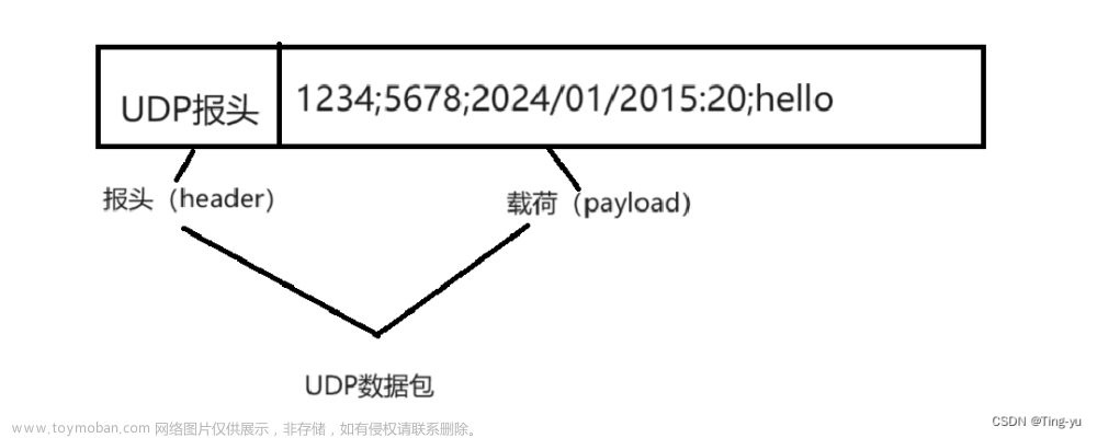 计算机网络基础概念解释