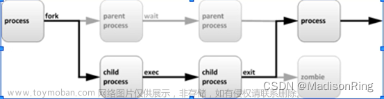 云计算工程师系列 Day04 第四章 进程管理（超详细 持续更新中....）,Linux,云计算,linux,unix