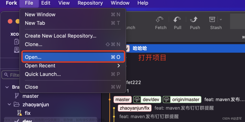 fork使用教程,git,github,Fork,赵彦军