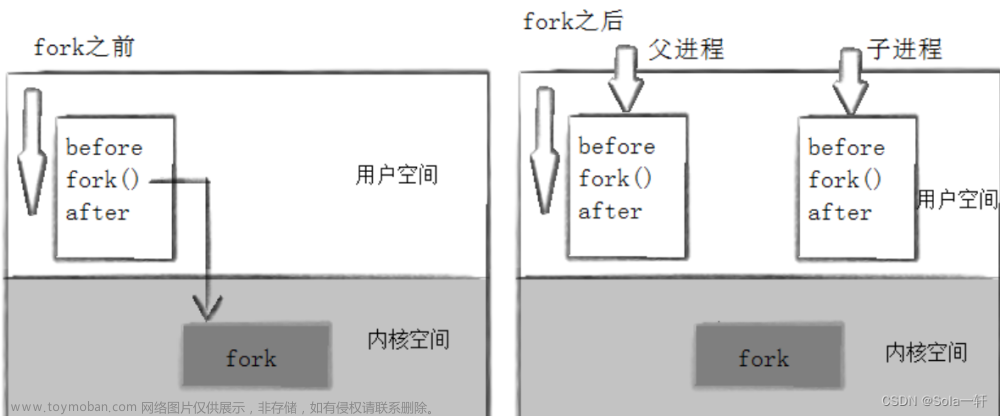 [Linux]进程控制精讲,简单实现一个shell