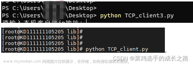 python编写TCP和UDP测试工具