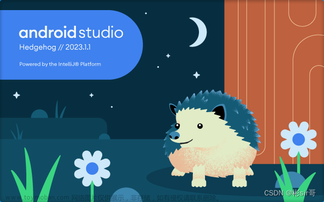 如何下载安装最新版本的 Android Studio