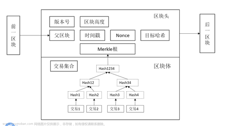 【网络安全】——区块链安全和共识机制