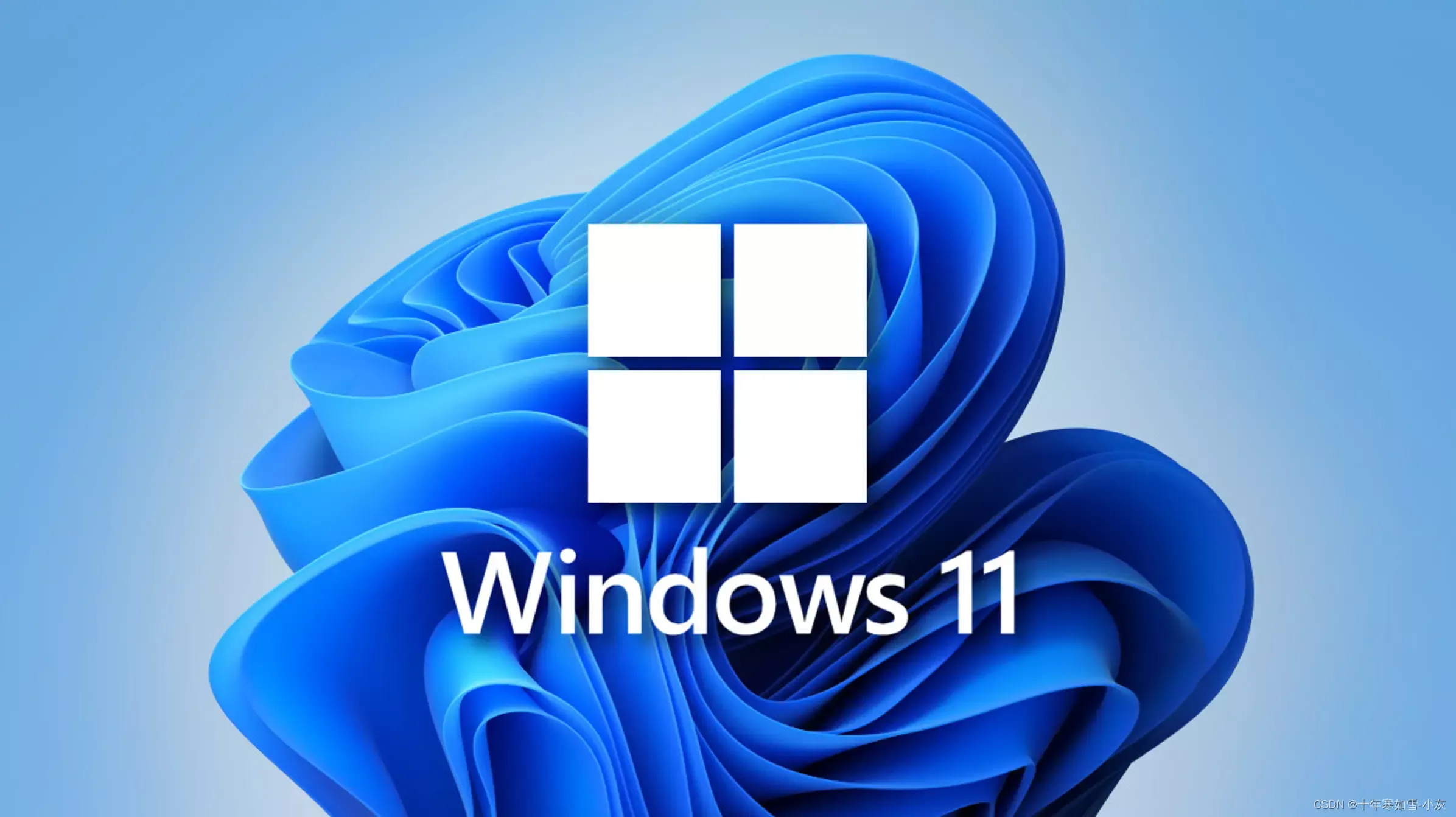 Windows 11 22H2开启 DoH（DNS over HTTPS）