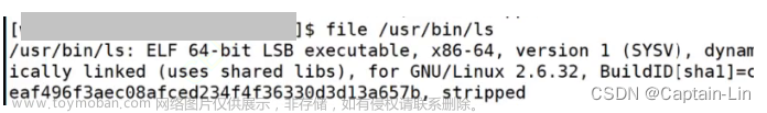 【Linux初阶】环境变量 | 如何设置、获取环境变量？