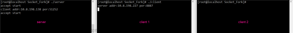 UNIX网络编程：socket & fork()多进程 实现clients/server通信