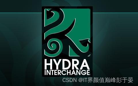 黑客必备工具：Hydra的完整安装和使用指南