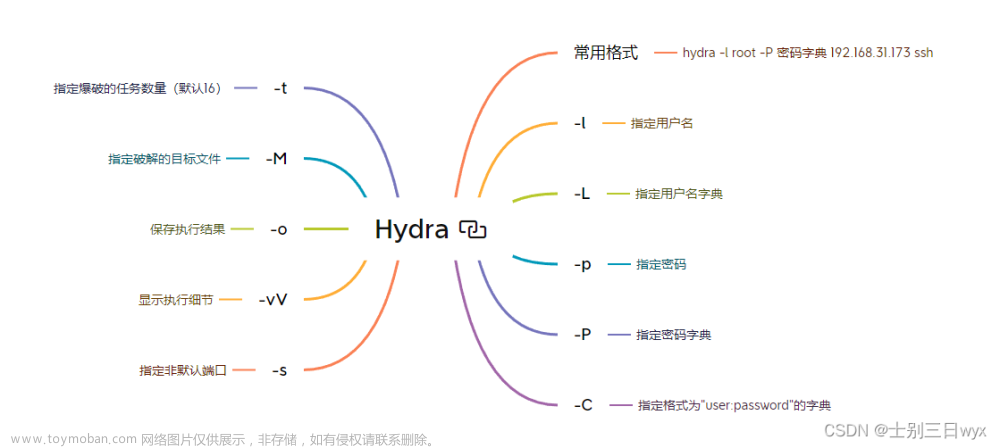 Hydra密码爆破工具使用教程图文教程（超详细）