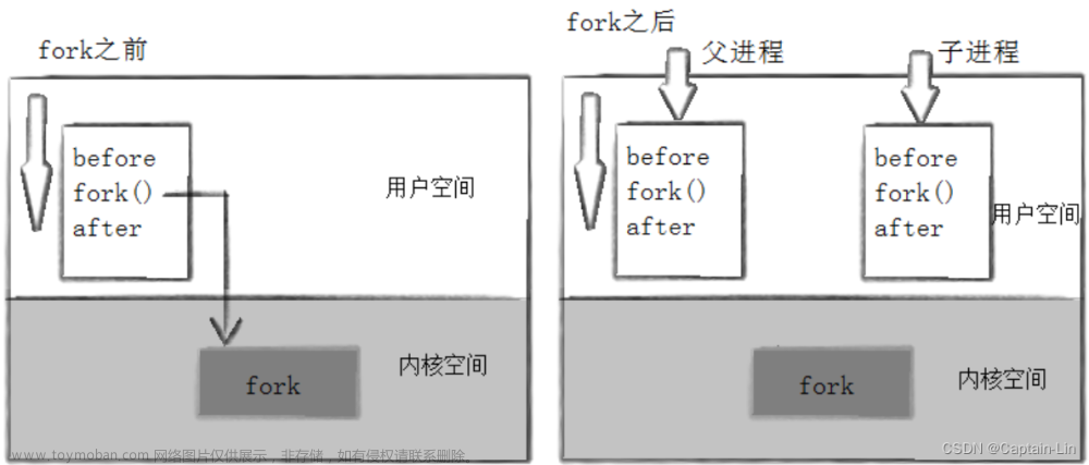 【Linux初阶】fork进程创建 & 进程终止 & 进程等待