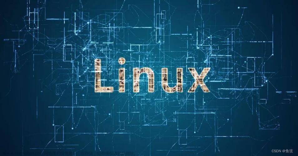 【Linux系统基础快速入门详解】Linux命令格式、特点、语法详解、选项、参数