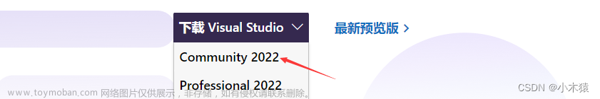 Visual Studio 2022 C++下载及配置