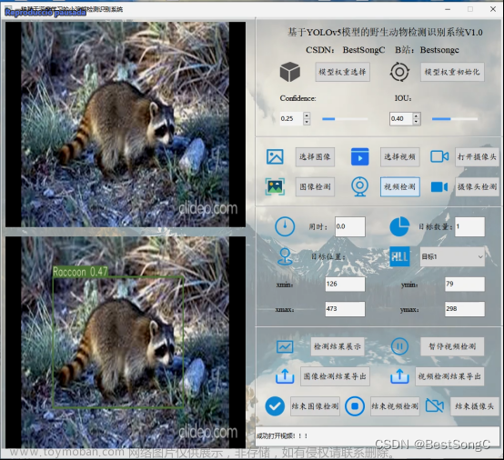 基于深度学习的高精度浣熊检测识别系统（PyTorch+Pyside6+模型）