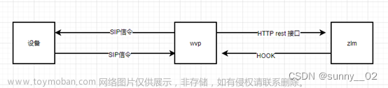 wvp-gb28181系统说明