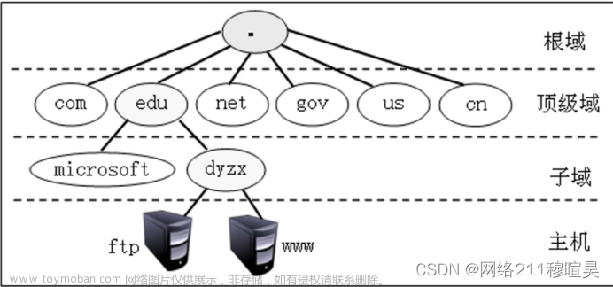 DNS服务器的搭建