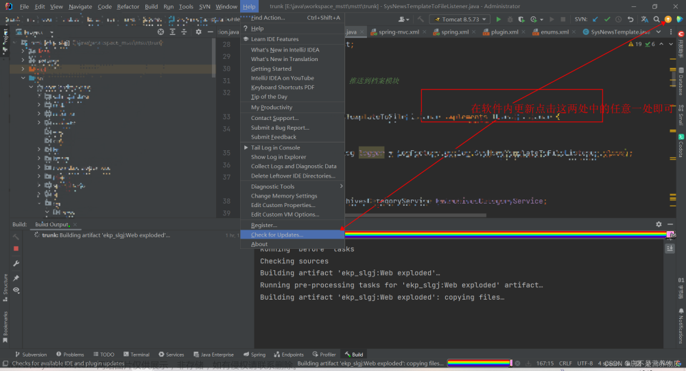 IntelliJ IDEA 怎么直接在软件中更新为最新版