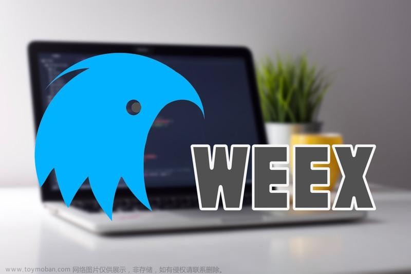 加速应用迭代与更新：Weex与小程序容器的快速开发之道