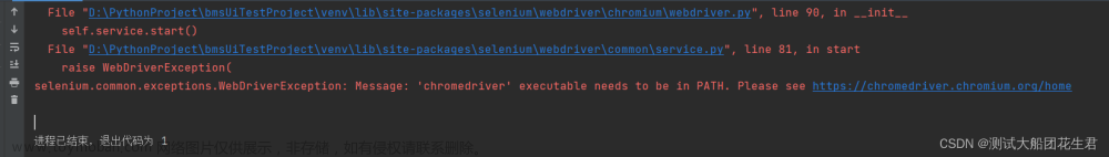 selenium使用 webdriver.Chrome() 报错，找不到执行文件的解决方法（一）