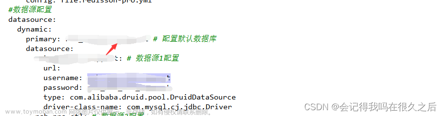 dynamic-datasource Please check the setting of primary解决方案