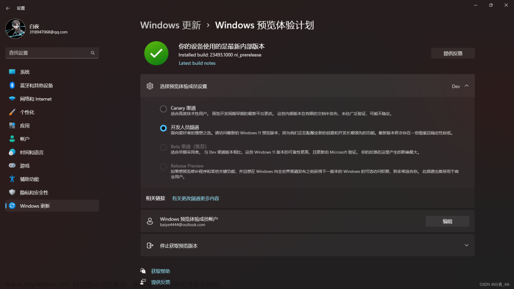 Windows Copilot 更新及使用教程