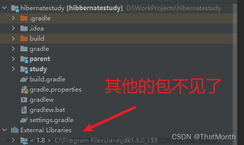 解决IDEA项目external libraries依赖包消失的问题