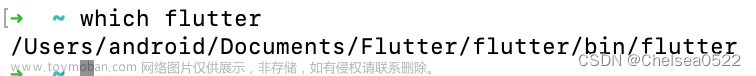 【Flutter】Dart/Flutter SDK如何降低版本、回退到指定版本
