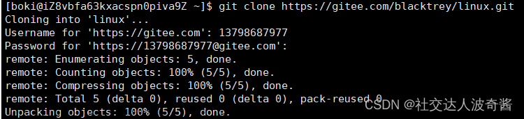 波奇学Linux：git和gdb调试