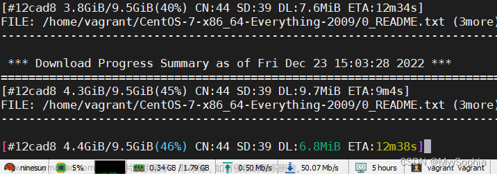 Linux使用Aria2命令下载BT种子/磁力/直链文件