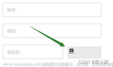 360极速浏览器以及360安全浏览器在兼容模式下验证码图片显示不来，但是极速模式可以显示？