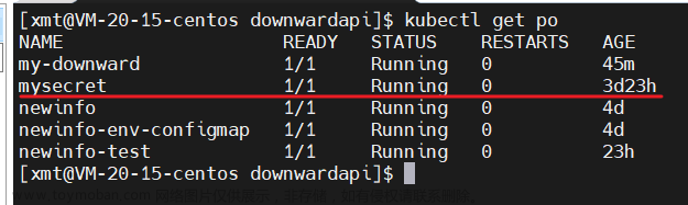 k8s如何访问 pod 元数据