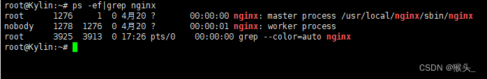 Nginx服务的启动和停止