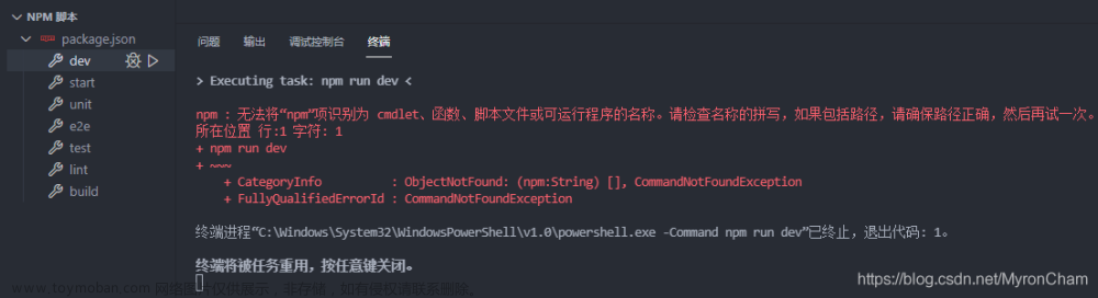 12.（开发工具篇vscode+git）vscode 不能识别npm命令