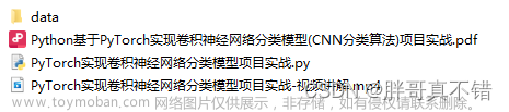Python基于PyTorch实现卷积神经网络分类模型(CNN分类算法)项目实战