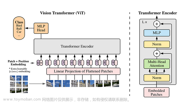 华为开源自研AI框架昇思MindSpore应用案例：Vision Transformer图像分类