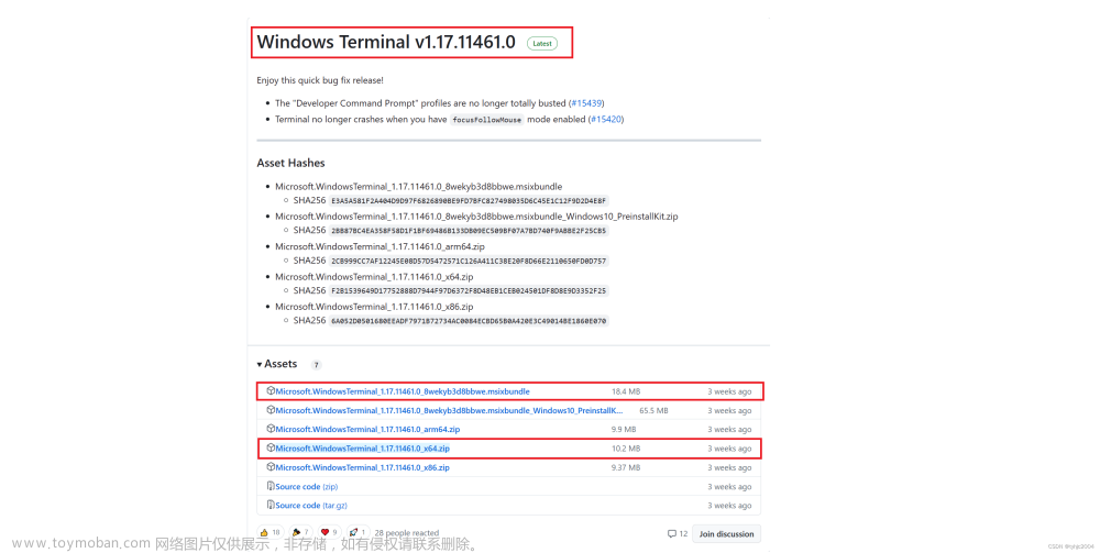 Windows终端（windows terminal）从下载到运行