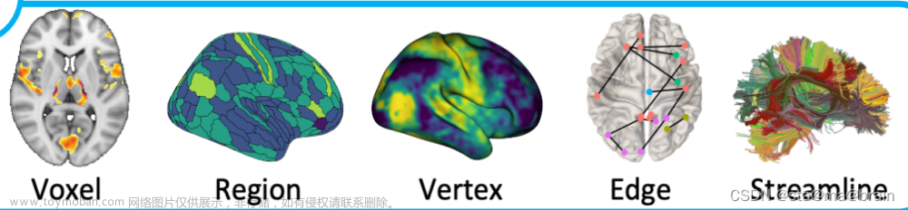 神经影像脑网络图、brain map可视化汇总