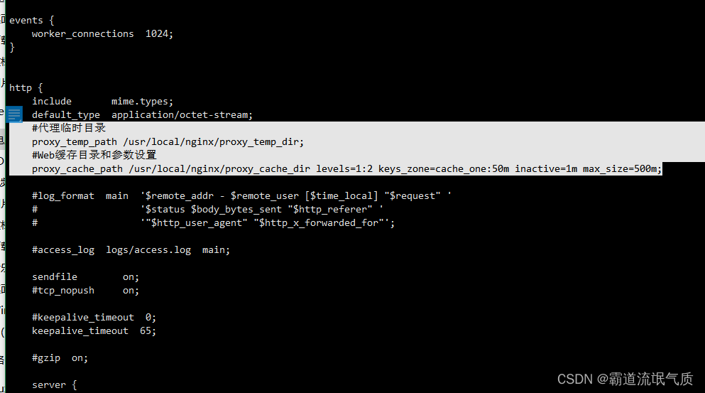 Nginx使用proxy_cache指令设置反向代理缓存静态资源