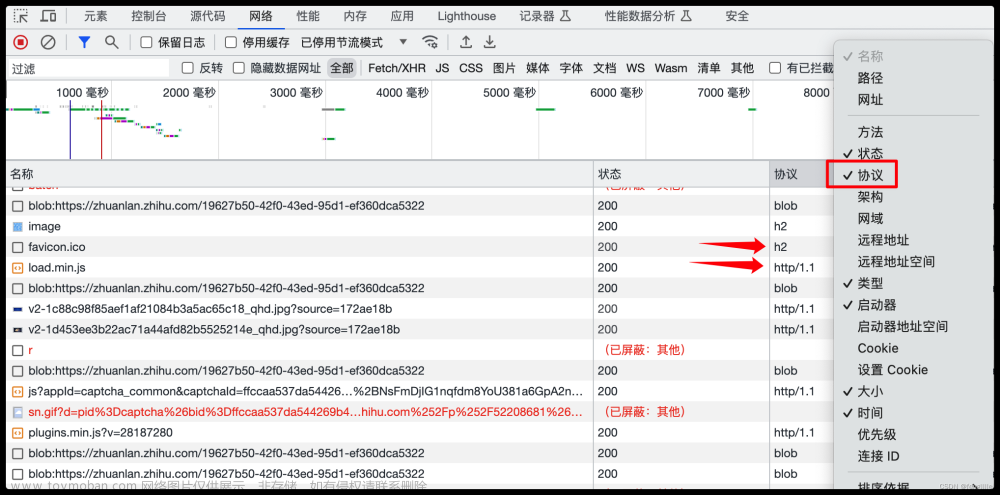 检查网站是HTTP那种协议与获取域名的ipv6地址