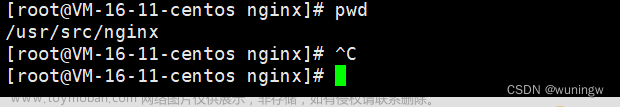 Linux安装Nginx（超详细步骤,亲测!）